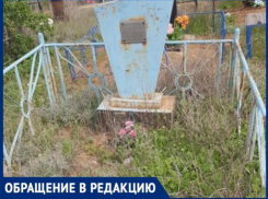 «Они лежат там, всеми забытые и заросшие травой», - волжанин