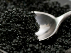 Калмык пытался провезти через Волгоград более 20 килограммов черной икры