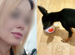 Блондинка напоила своего песика запретной жидкостью в Волжском