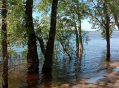 В день рождения зубной щетки в Волжском будет облачно