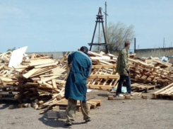 Приюту «Островок Надежды» нужны мужские руки