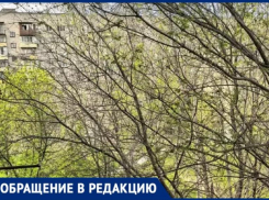 В Волжском возник конфликт вокруг деревьев: жители и УК по-разному видят проблему