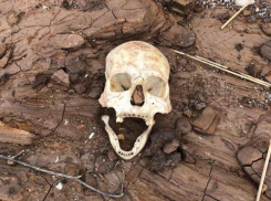 В Волгоградской области человеческие кости и гробы, «замурованные» в землю, лезут наружу