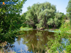 Лето вернется в четверг. Прогноз погоды для жителей Волжского