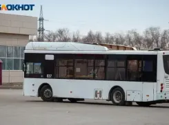 Большая часть опрошенных волжан ежедневно используют общественный транспорт 