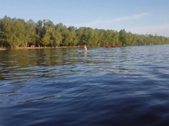 Жара не сдает позиций: в четверг +35