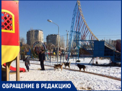 «Две собаки практически накинулись на ребенка», - волжанин
