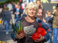 Среда балует волжан солнечной погодой