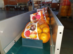 «Грилан»: чистые овощи, быстрая доставка