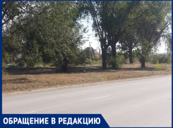 «На острове Зеленый наводят порядок»,- волжанка