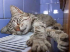 Отопительный сезон в Волжском завершен