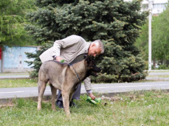 Давайте снова сделаем Волжский чистым городом, - собаковод Николай Никифоров