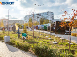 Предприниматели Волжского высадят более 300 деревьев и кустарников в Космопарке
