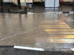 «Утопающая зебра»: житель Волжского возмущен отсутствием ливневки