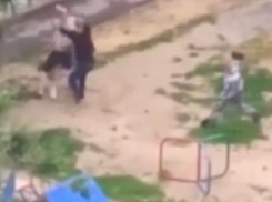 В Волжском конфликт во дворе попал на видео