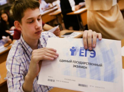 Волжане получили высший балл по ЕГЭ по русскому языку