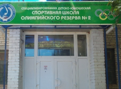 Волжская спортшкола №2 получит федеральную субсидию на закупку оборудования