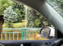 Дыхало кита устроили в центре Волжского