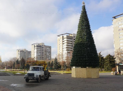 Новогодняя ель появилась на главной площади в Волжском