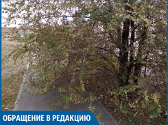 «Дорожка новая, а проблемы старые», - волжанка