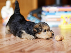 День доброты обещает небольшие прояснения 