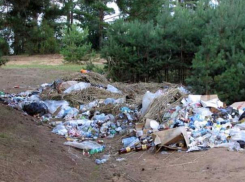 Мэрия Волжского отобрала земли у трех неугодных арендаторов