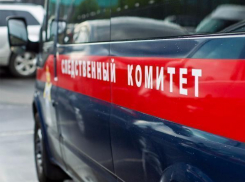 В регионе организована доследственная проверка по факту неправомерных действий в отношении волжской школьницы