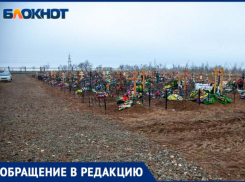 Все цветы вырвали с могилы военного, погибшего на СВО, в Волжском 