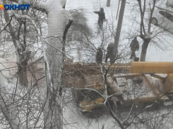 В Волжском опилили сломанное дерево только после публикации в Блокнот 
