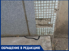 «У подъезда меня ждала змея-гадюка», - волжанин
