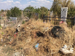 Городское кладбище и могилы людей утонули от обилия мусора в Волжском