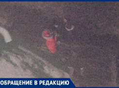 Звереют после кружечки пивка: волжанка пожаловалась на неадекватное поведение посетителей пивной