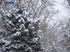 Волжане могут потерять удачу и красоту: советы травницы на 21 февраля