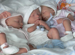 В Волгограде впервые в этом году родились тройняшки 