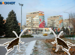 Волжане настаивают на проверках в общепите после скандала с тараканами