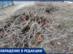 «Невозможно смотреть на этот бардак»,- жители Волжского жалуются на свалку спиленных веток