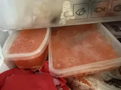 Как жителям Волжского выбрать безопасную икру и избежать отравления