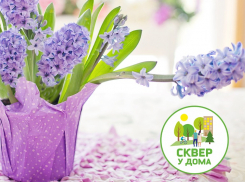 МАУ «СГТ» поздравляет волжанок с 8 Марта