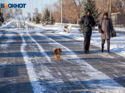 Пасмурно и холодно: прогноз погоды на воскресенье не порадует волжан