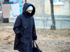 Придут заморозки: МЧС предупредили о сильном похолодании до -1 в Волгоградской области