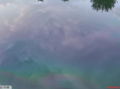 Волжанам в воду лучше не заходить: загрязнение Волго-Донского судоходного канала
