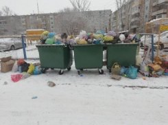 «Мусорные» герои: кто ответственен за уборку баков в Волжском?