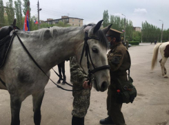 Волжане замерли: по улицам прошел конный парад
