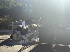 «Баки пустые, а гора строительного мусора лежит и отдыхает»: волжанка пожаловалась на свалку на Александрова