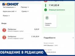 Заказ не пришел и деньги не вернули: волжанка жалуется на службу доставки в магазине «Пятерочка»
