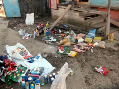 Под Волгоградом молодые люди хотели сервировать новогодний стол украденными продуктами