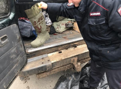 За убийство двух косуль под Волжским мужчинам грозит серьезное наказание