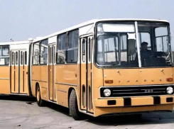 Волжане решили выбрать место для памятника «Икарусу» вопреки запретам