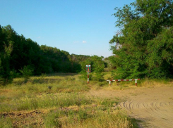 Въезд в леса Волгоградской области закроют из-за жары