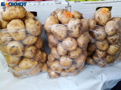 Прокормить ребенка или обанкротиться? В Волжском подорожало питание